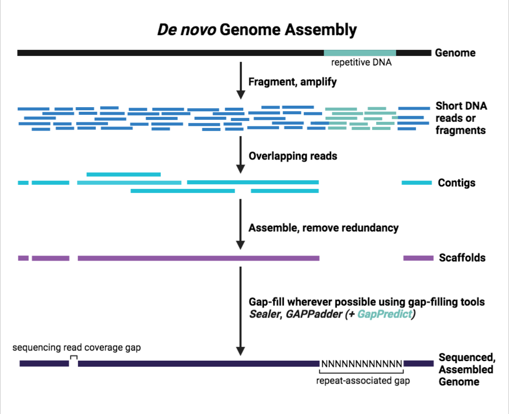 Filling In The Gaps Gappredict Can Complement Repertoire Of Tools Used